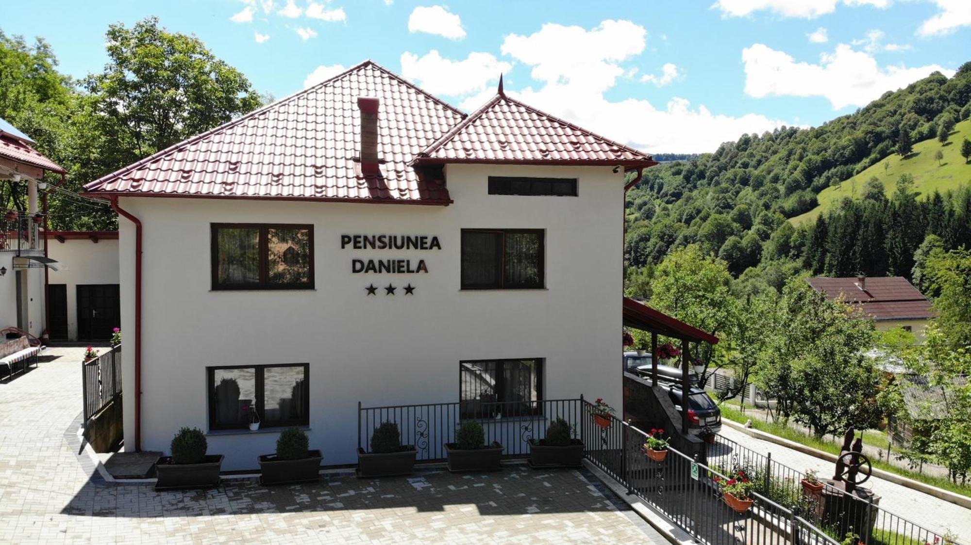 Pensiunea Daniela Moisei Dış mekan fotoğraf